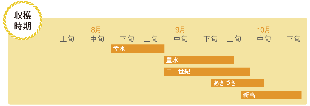 収穫時期カレンダー