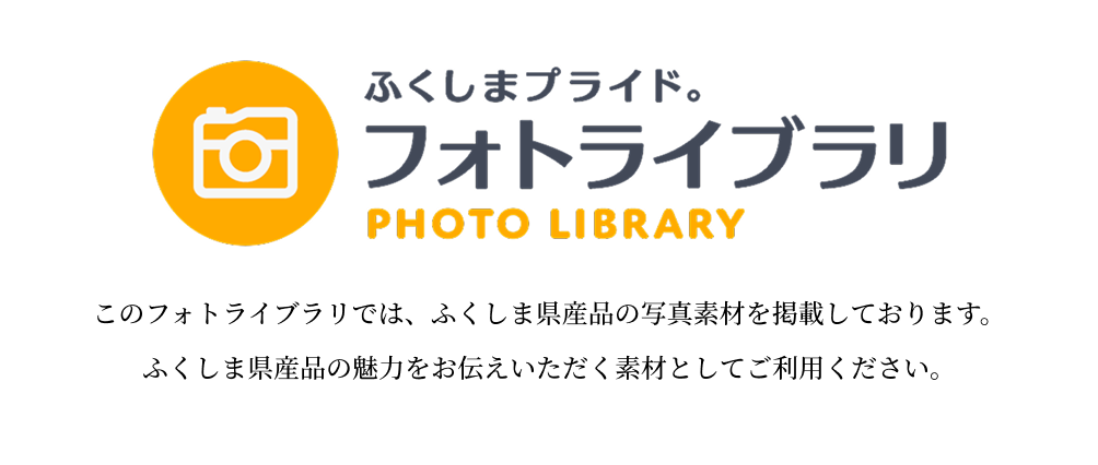 フォトライブラリ