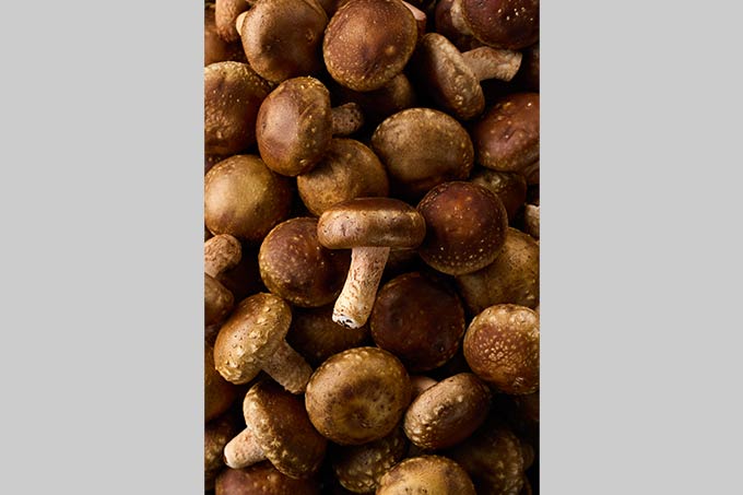 しいたけ（シズル写真）5