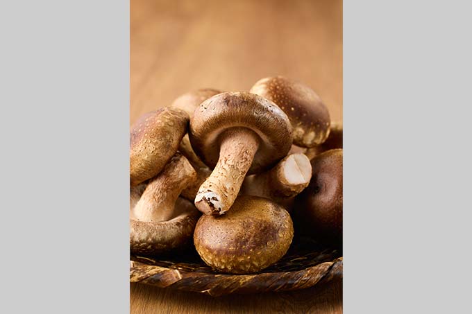 しいたけ（シズル写真）1